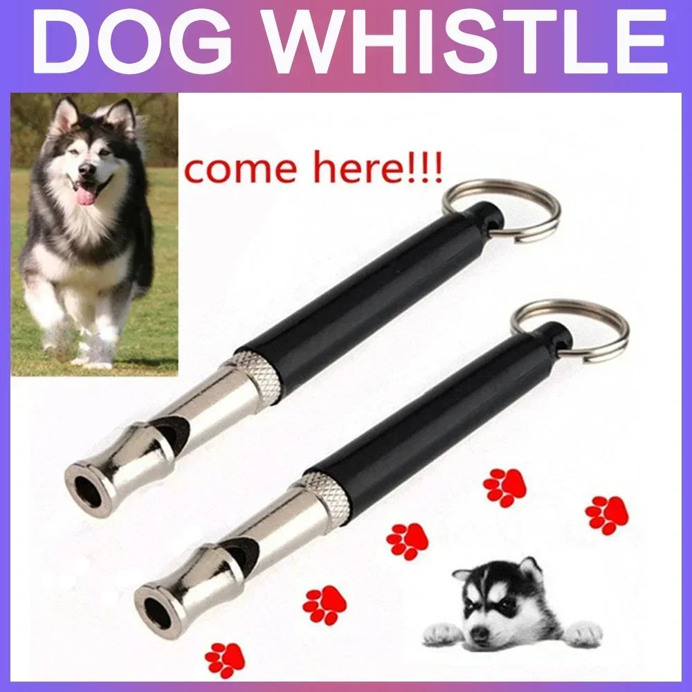 A black dog whistle with a silver tip and clip, shown next to a husky dog.