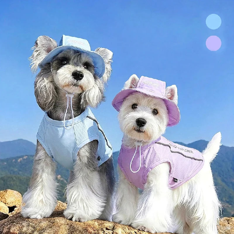 Two fluffy dogs wearing breathable mesh cooling vests and sun protection hats