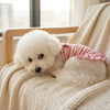 Sweet Strawberry Print Princess Dress for Small Dogs & Cats