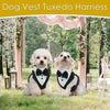 Dog Tuxedo with Bowtie for Weddings and Special Occasions