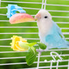 Parrot Food Holder Clip with Chain – Bird Cage Fruit & Vegetable Feeder