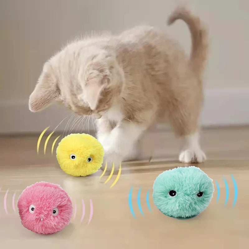 Un chat gris et duveteux interagit avec trois balles en peluche colorées : jaune, rose et bleu sarcelle, qui émettent des ond