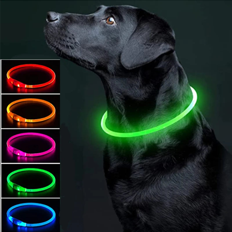 A black dog wearing a glowing LED collar, shown next to various colored light modes.