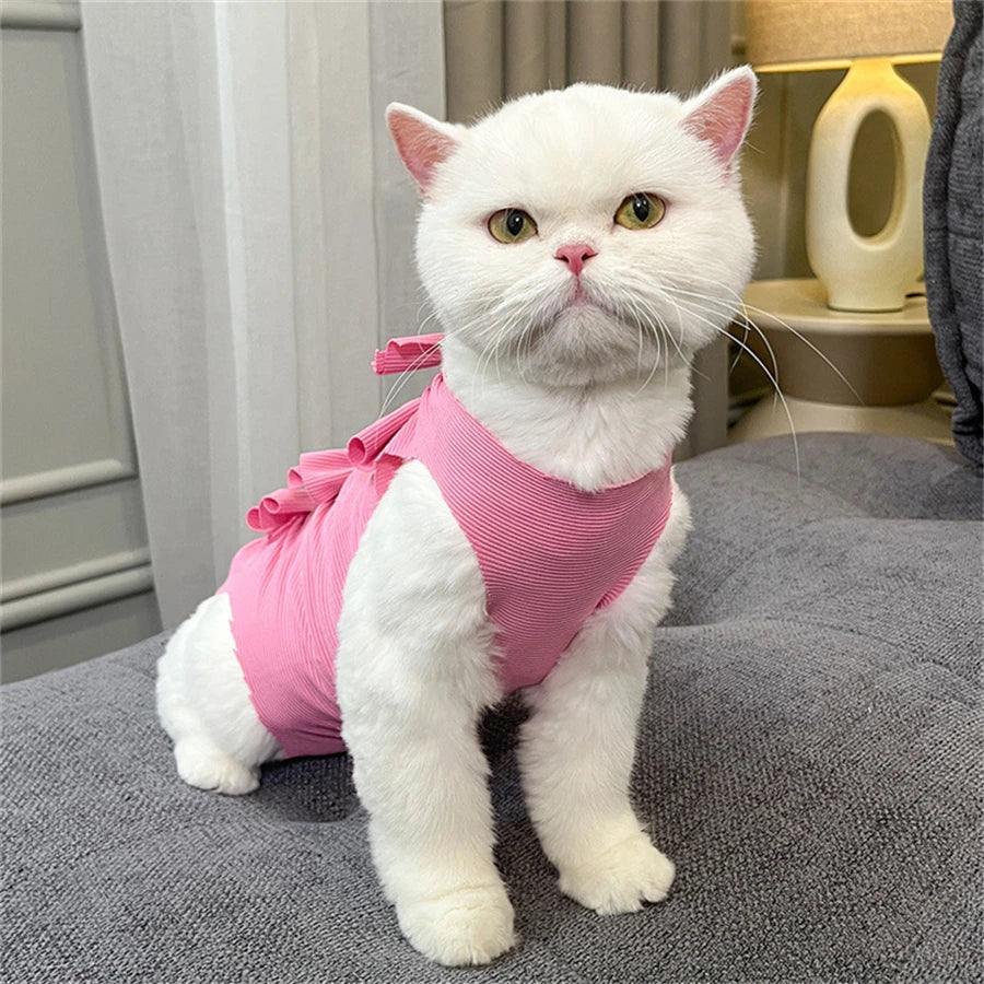 A white cat wearing a pink adjustable post-operative recovery vest sitting on a gray surface.