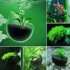 Acrylic Aquarium Plant Cup with Suction Holder