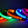 USB Charging Glowing Dog Collar with Pendant