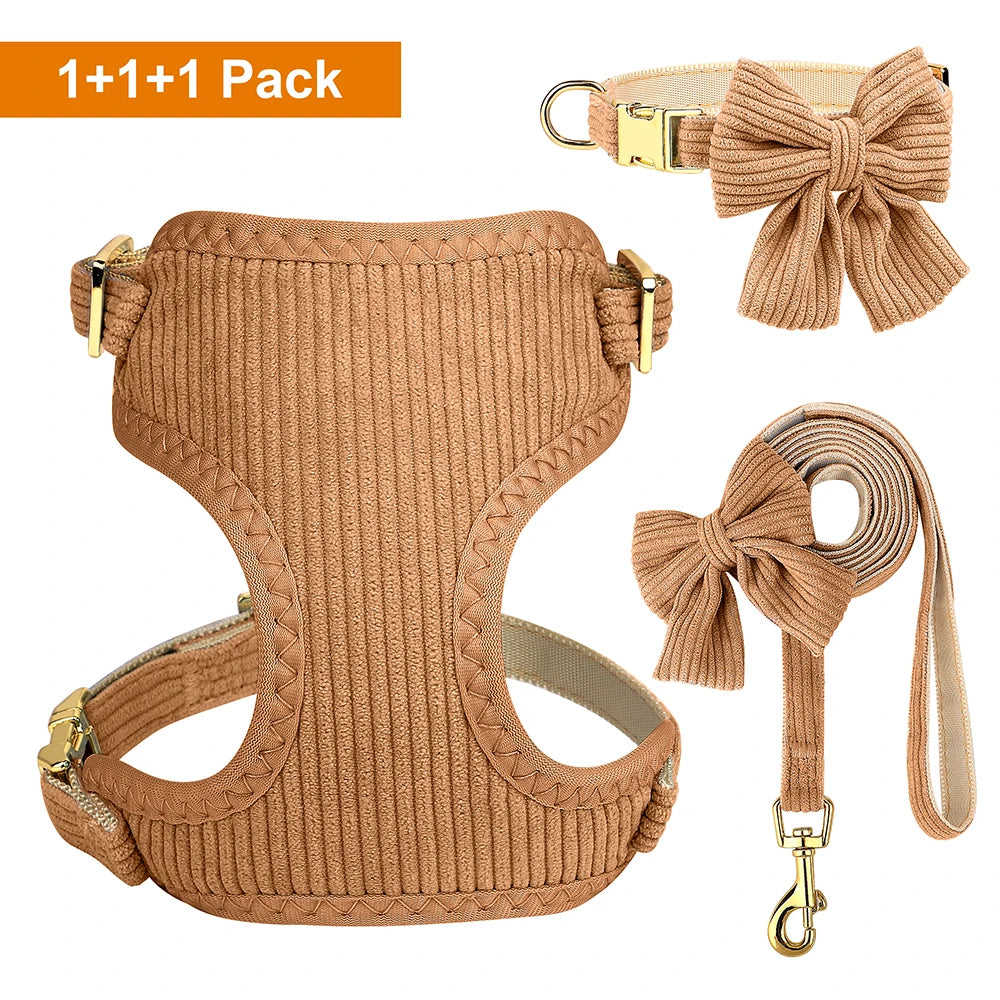 Beige gestricktes Hundehalteset mit dekorativen Schleppelhalsen in einem 1+1+1-Pack