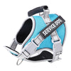 A light blue and gray reflective dog harness with a black strap displaying the text SERVICE DOG.