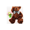 Pet Bow Tie Collar with Adjustable Strap