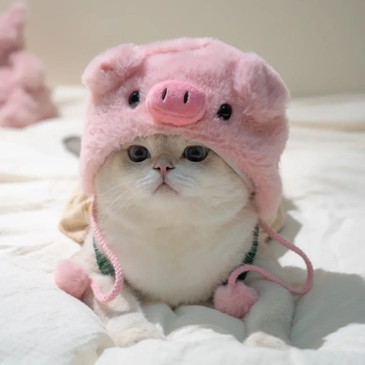 Adorable Knit Bear Hat for Cats and Dogs