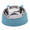 Ergonomic Stainless Steel Pet Food Bowl with Tilted Design