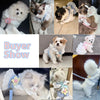 Princess Style Adjustable Cat Harness and Leash Set for Small Pets
