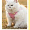Breathable Adjustable Dog and Cat Harness Vest with Reflective Safety