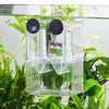 Cage d'isolement pour reproduction en aquarium