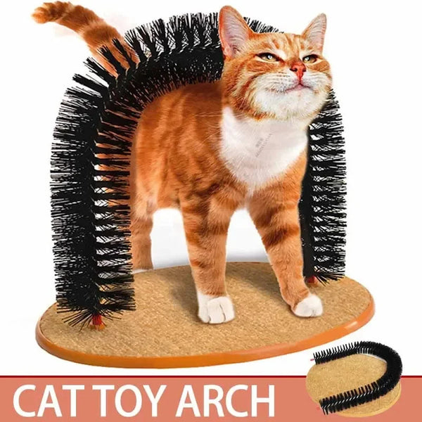 An orange and white kitten stands inside a black bristled arch toy for cat grooming and massage.