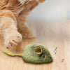 A fluffy orange cat paw gently touches a small, green, squeaky mouse plush toy on a wooden surface.