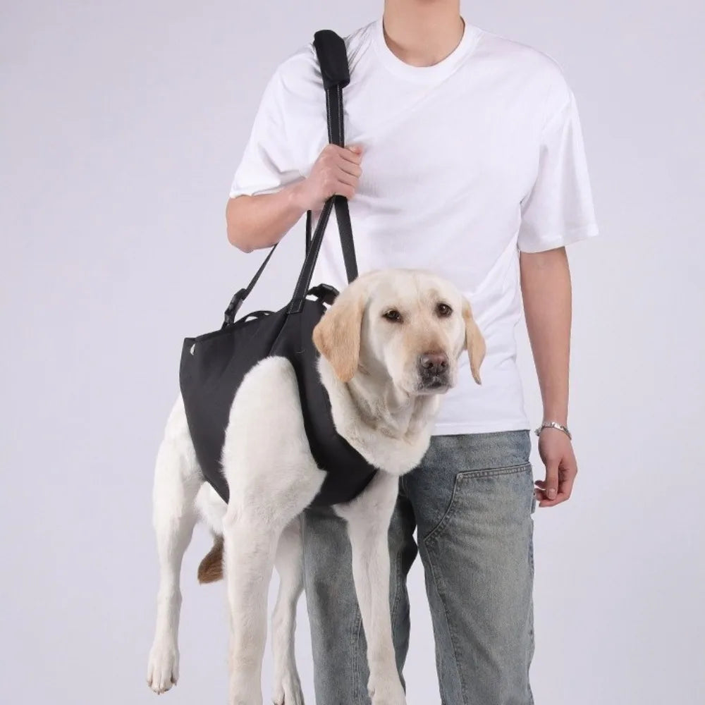 Dog Lift Harness with Handle for Mobility Support