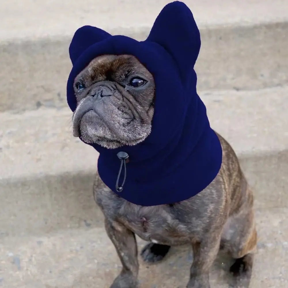Un perro de color cría vistiendo un gorro de invierno de forro azul oscuro.