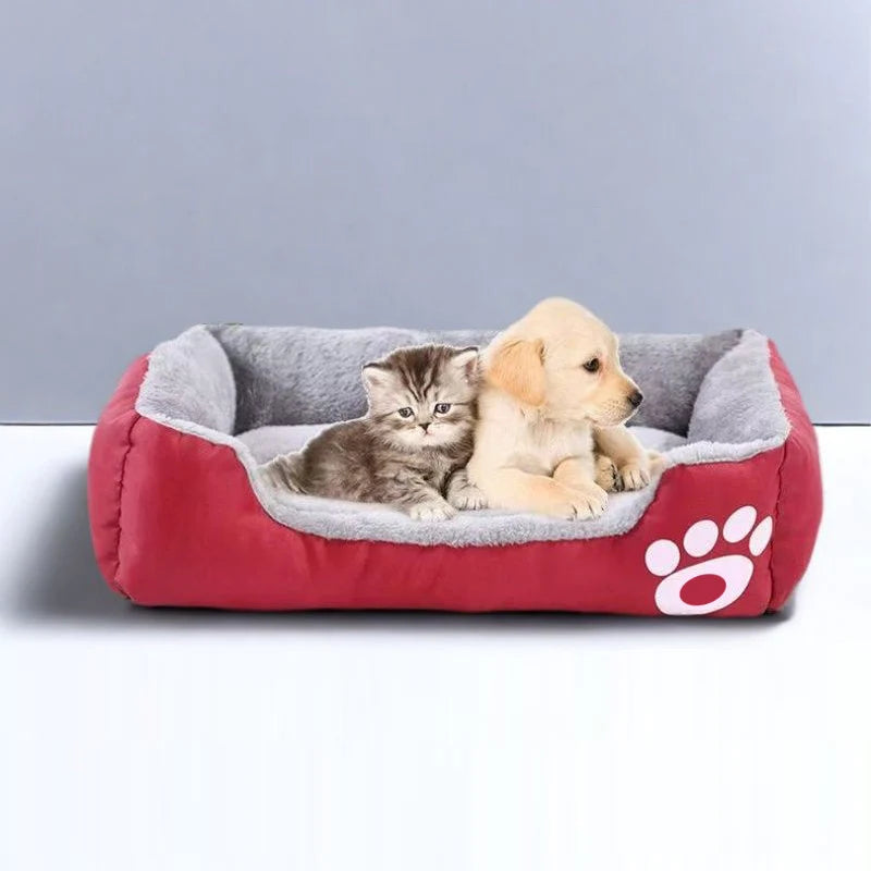 A red dog bed with a gray cushion contains two small puppies, one tabby and one golden.