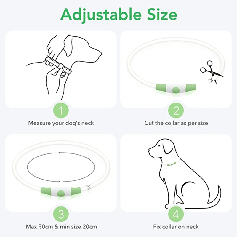 Instructions for adjusting the size of a dog collar, showing measurement and fitting.