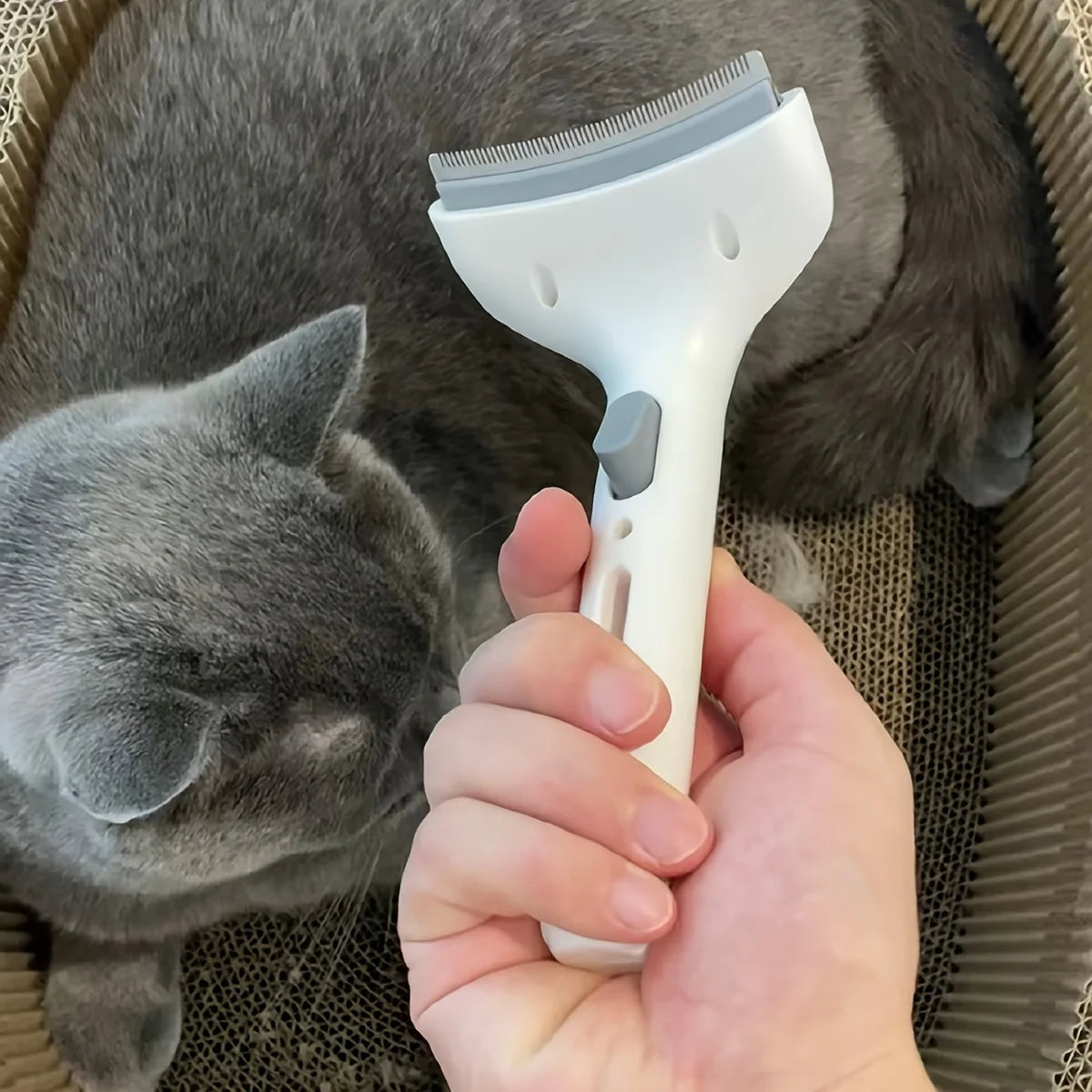 A hand holds a white pet hair remover brush with a wide arc base, positioned near a gray cat.
