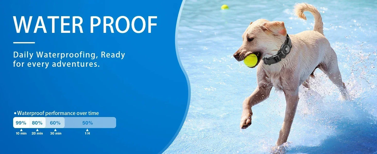 A light-colored dog is running in water with a yellow ball, demonstrating the waterproof performance of a dog collar.