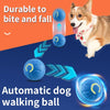 Interaktiver smarter Hundespielball
