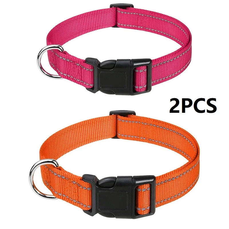 Decorative Nylon Dog Collar with Buckle Closure