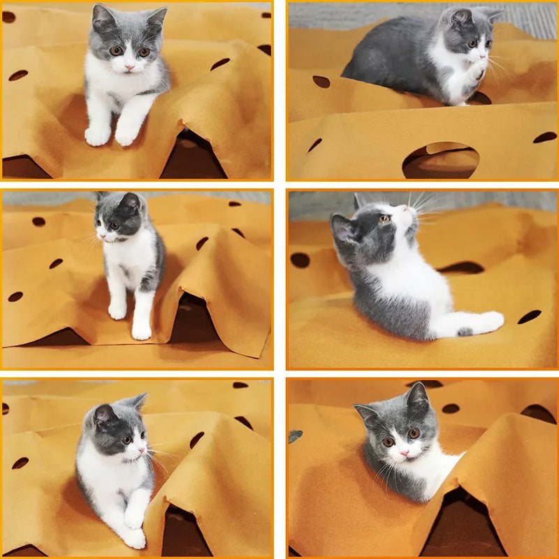 Foldable Cat Play Tunnel & Activity Mat