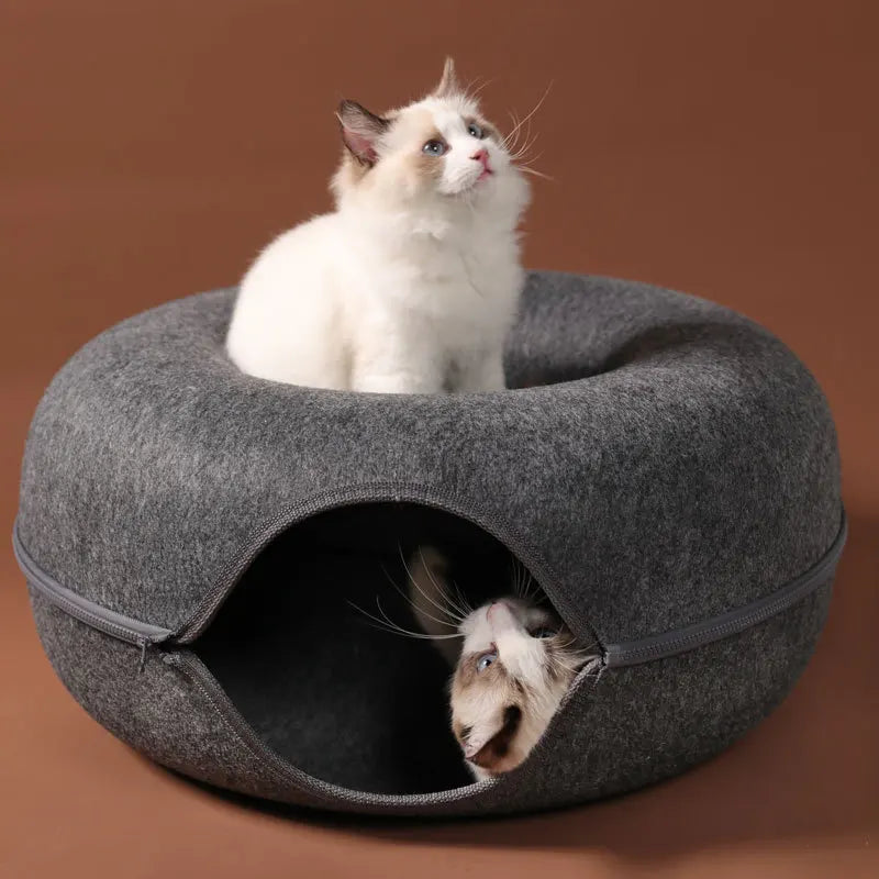 Un petit chaton blanc se penche hors d'un lit pour chat en forme de donut gris, conçu pour deux chats.