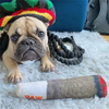 Cigar-Shaped Squeaky Plush Dog Toy for Interactive Play and Teeth Care