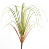 A clump of green and brown onion grass foliage used as a garden decoration.
