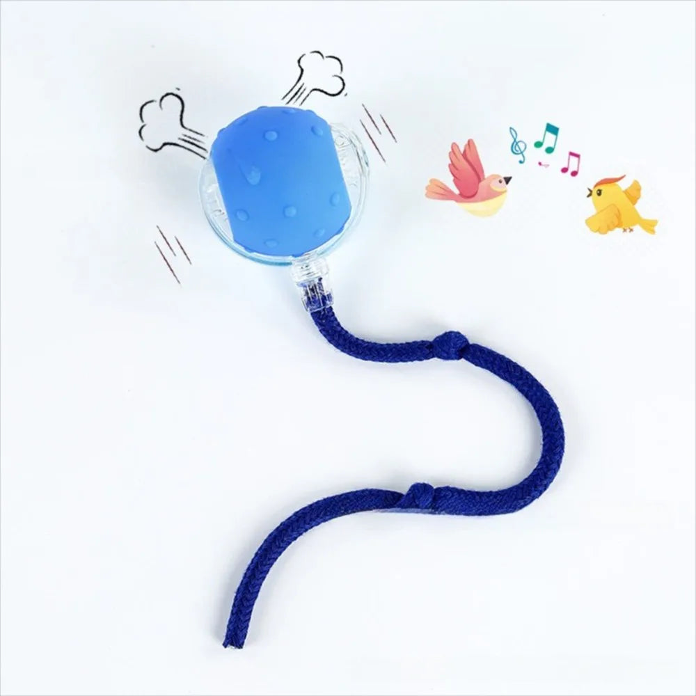 Interactive Rolling Cat Toy with Bird Sounds and Three Play Modes