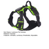 Rechargeable LED Dog Harness with Reflective Strips