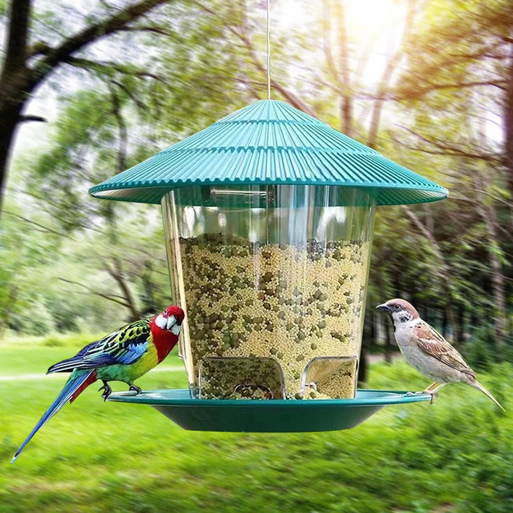 A hanging bird feeder with a teal conical roof filled with seeds, suspended outdoors in a natural setting.