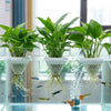 A glass aquarium filled with water and various aquatic plants rooted in decorative pots.