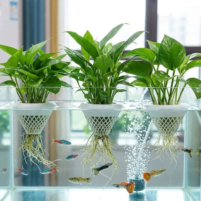 A glass aquarium filled with water and various aquatic plants rooted in decorative pots.
