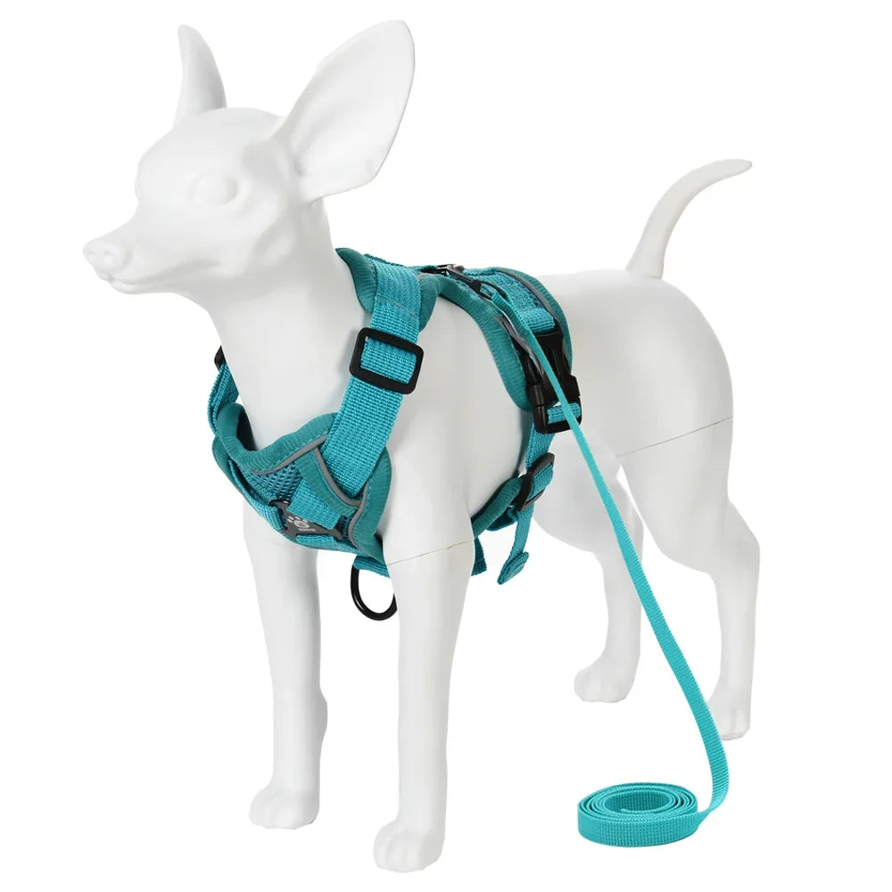 A white dog wearing a teal harness and attached leash, shown in a side view.