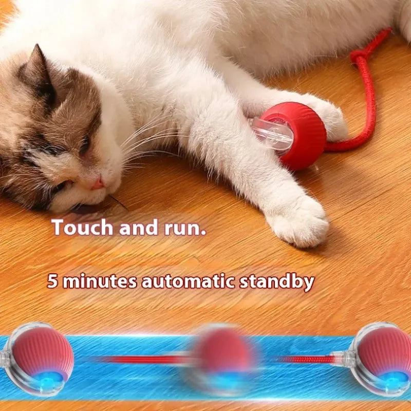 Un chat blanc et brun interagit avec une balle interactive intelligente à mécanisme de course.