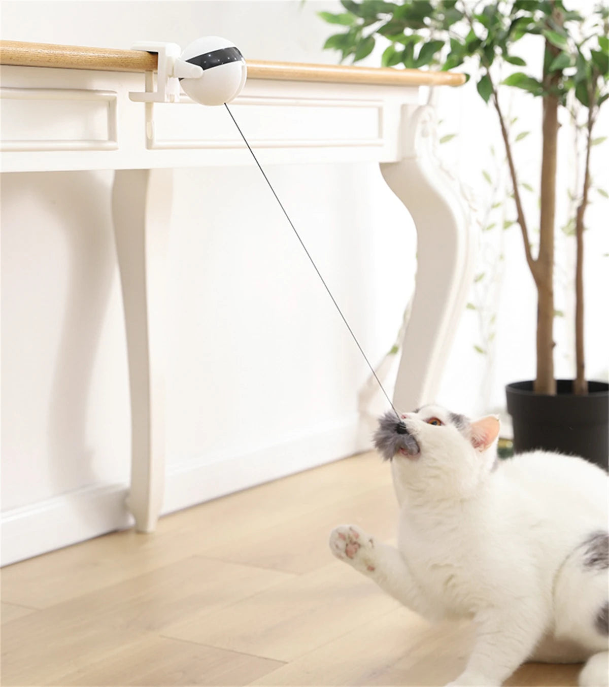 Un chat blanc interagit avec un jouet de levage interactif en tirant une ficelle attachée à une balle rotative sur une table 