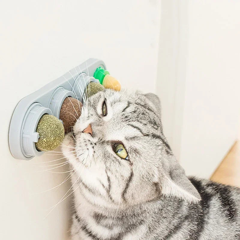 A tabby cat is interacting with a rotating catnip ball toy attached to a wall mount.