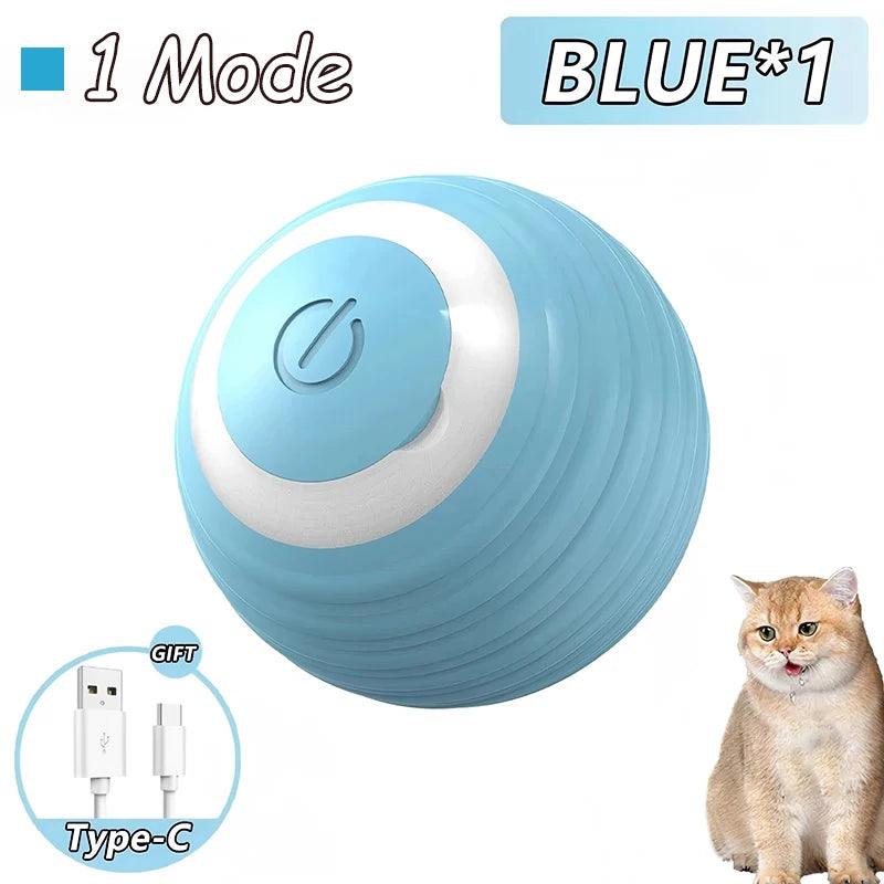 Blaues interaktives rollendes Katzenspielzeug mit weißem Deckel, neben einer Katze.