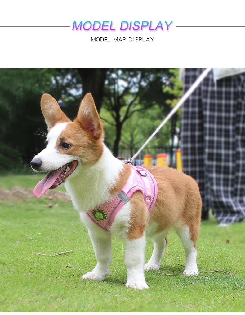 Adjustable Mesh Dog Harness Vest for Small and Medium Pets