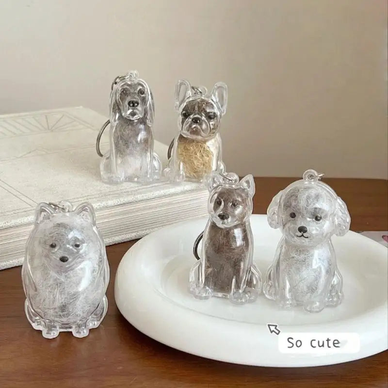Pet Hair Keepsake Keychain with Transparent Capsule