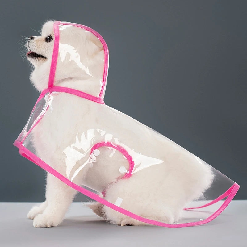 A light-colored dog is wearing a transparent pink raincoat with a hood.