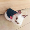 Un lapin blanc portant un costume de lapin en denim avec des accents à carreaux rouges, allongé sur une surface en bois clair
