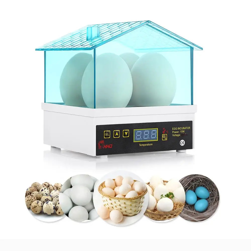 Un incubateur digital blanc avec dôme transparent contenant plusieurs œufs blancs.