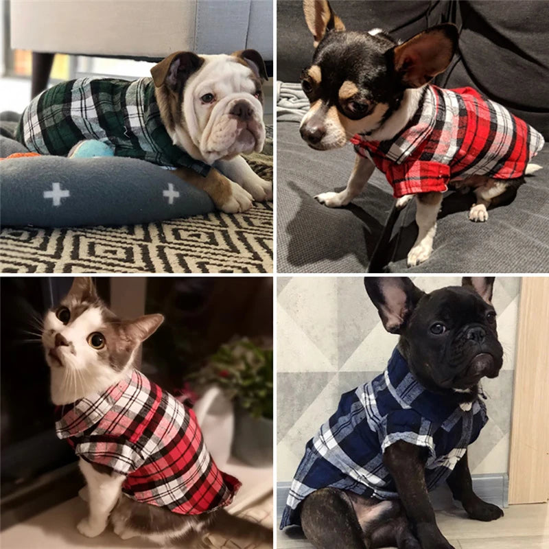 A collage of dogs wearing plaid vests, including a bulldog, a chihuahua mix, and a French bulldog.