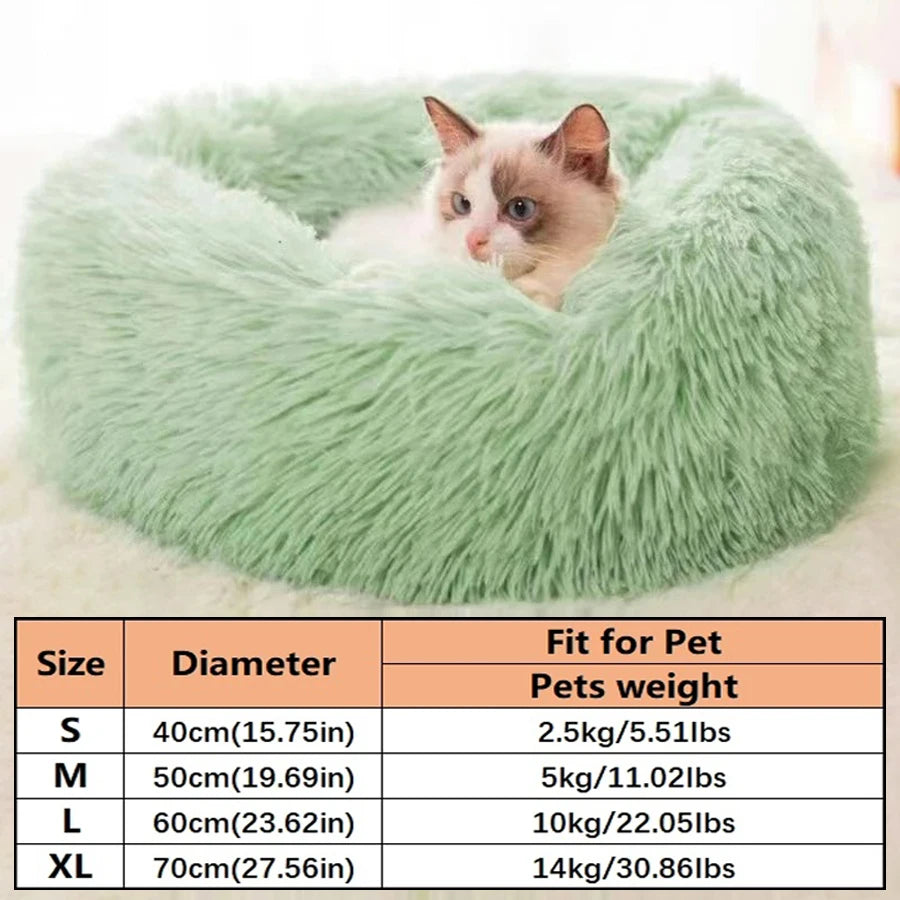 A fluffy green pet bed shaped like a nest, with a small tabby kitten peeking out.