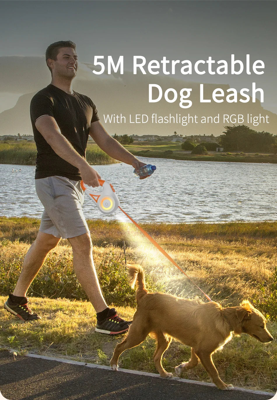 Retractable Dog Leash with LED Light